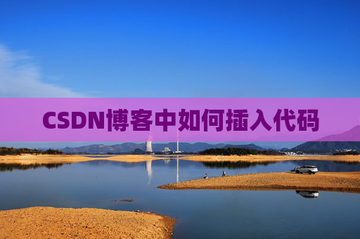 CSDN博客中如何插入代码